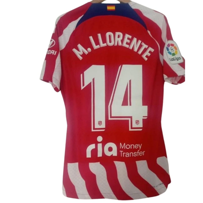 cover of the auction item