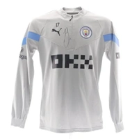 cover image of the auction item