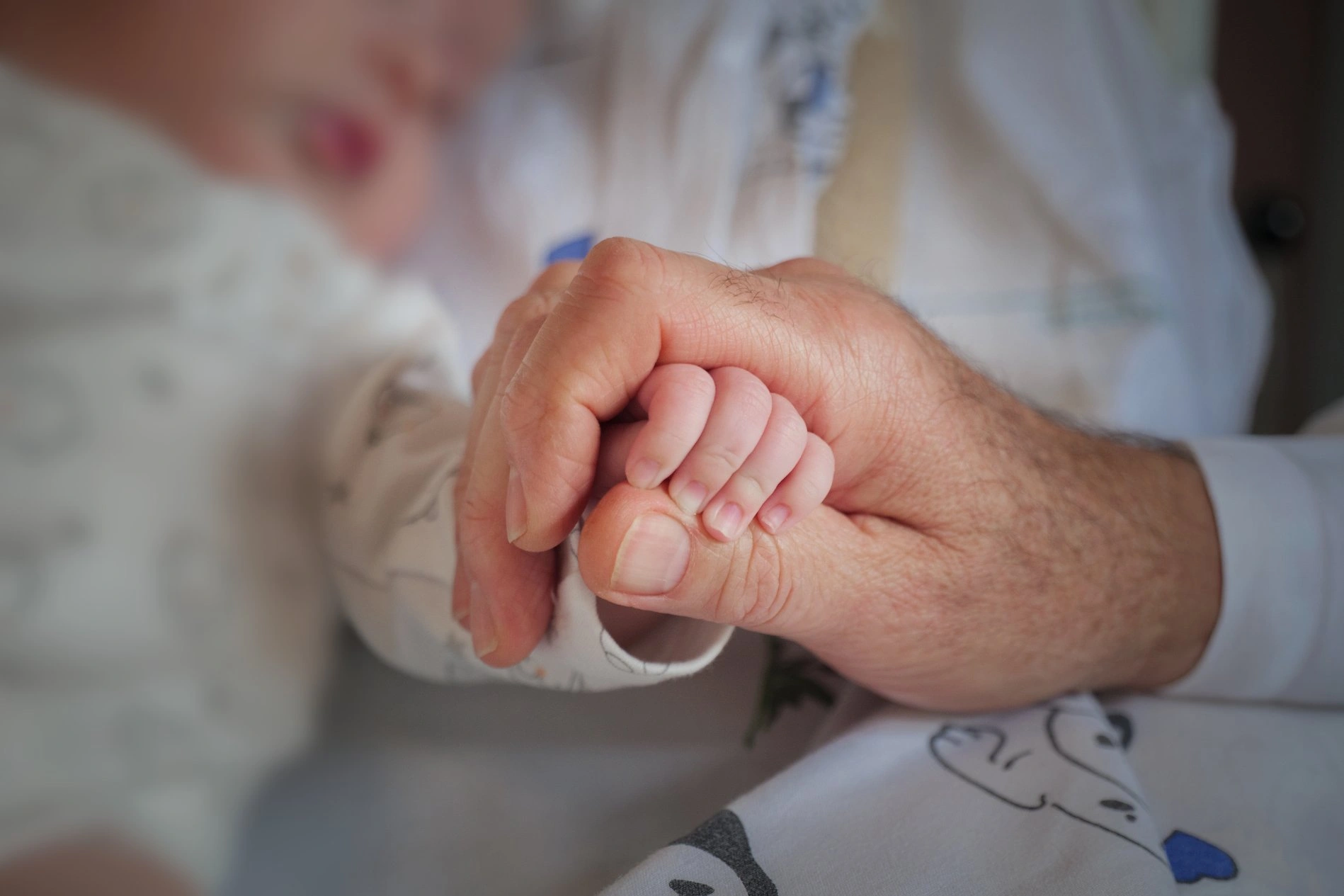 <p><strong>The Lucentia Committee in support of the Bambino Gesù Foundation</strong></p><p><br></p><p>The Lucentia Committee brings together an international community of philanthropists and supporters in support of the Bambino Gesù Foundation and, in particular, its <strong>Frammenti di Luce</strong> (Fragments of Light) programme.</p><p>The programme is dedicated to welcoming and providing life-saving care to children affected by humanitarian crises around the world who cannot access adequate treatment in their home countries. Through the<strong> International Charity Gala </strong>in<strong> Rome</strong> and its auction, the Lucentia Committee aims to turn generosity into tangible impact, helping give children in need access to the specialist care and treatment they deserve.</p>